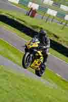 Middle Group Yellow Bikes